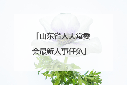 山东省人大常委会最新人事任免