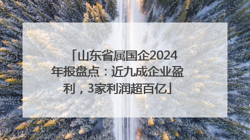 山东省属国企2024年报盘点：近九成企业盈利，3家利润超百亿