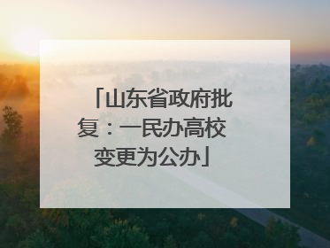 山东省政府批复：一民办高校变更为公办