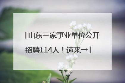 山东三家事业单位公开招聘114人！速来→