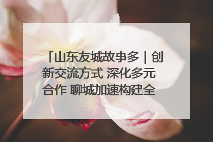 山东友城故事多｜创新交流方式 深化多元合作 聊城加速构建全球友城新格局