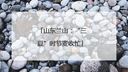 山东兰山：“三夏”时节麦收忙