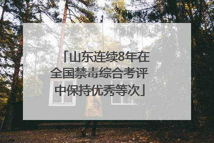 山东连续8年在全国禁毒综合考评中保持优秀等次