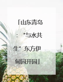 山东青岛：“与水共生”东方伊甸园开园