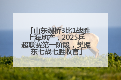 山东魏桥3比1战胜上海地产，2025乒超联赛第一阶段，樊振东七战七胜收官
