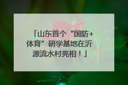 山东首个“国防+体育”研学基地在沂源流水村亮相！