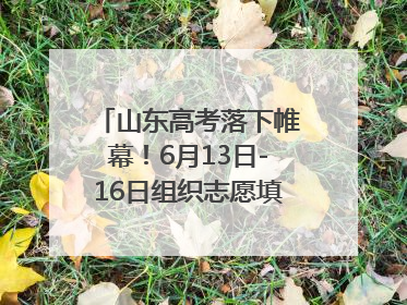 山东高考落下帷幕！6月13日-16日组织志愿填报模拟演练