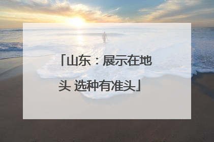 山东：展示在地头 选种有准头