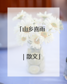 山乡喜雨｜散文
