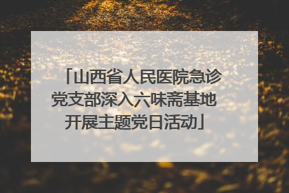 山西省人民医院急诊党支部深入六味斋基地开展主题党日活动