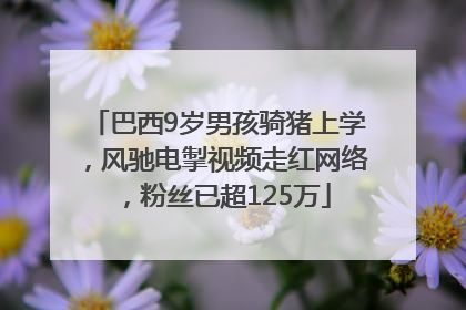 巴西9岁男孩骑猪上学，风驰电掣视频走红网络，粉丝已超125万