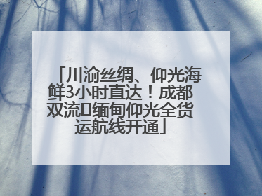 川渝丝绸、仰光海鲜3小时直达！成都双流⇌缅甸仰光全货运航线开通