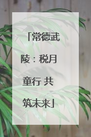 常德武陵：税月童行 共筑未来