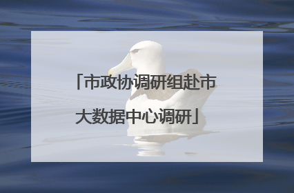 市政协调研组赴市大数据中心调研