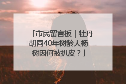 市民留言板｜牡丹胡同40年树龄大杨树因何被扒皮？