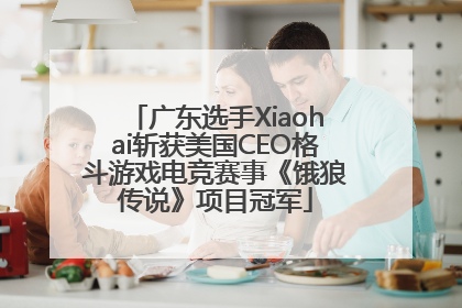 广东选手Xiaohai斩获美国CEO格斗游戏电竞赛事《饿狼传说》项目冠军