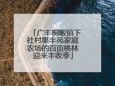 广丰桐畈镇下社村果丰苑家庭农场的百亩桃林迎来丰收季