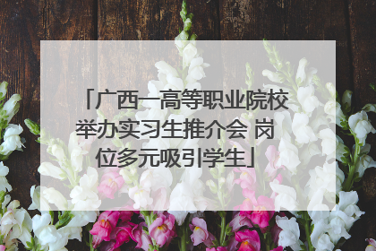 广西一高等职业院校举办实习生推介会 岗位多元吸引学生