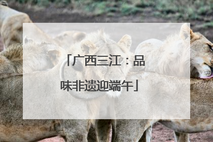 广西三江：品味非遗迎端午