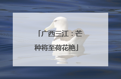 广西三江：芒种将至荷花艳