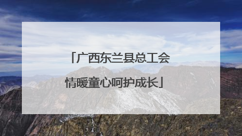 广西东兰县总工会情暖童心呵护成长