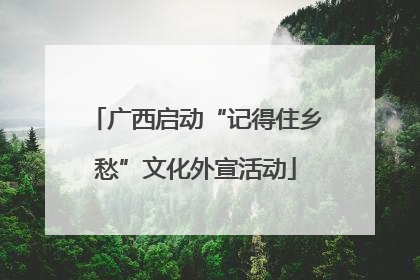 广西启动“记得住乡愁”文化外宣活动