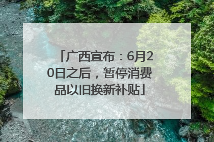广西宣布：6月20日之后，暂停消费品以旧换新补贴