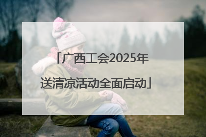 广西工会2025年送清凉活动全面启动