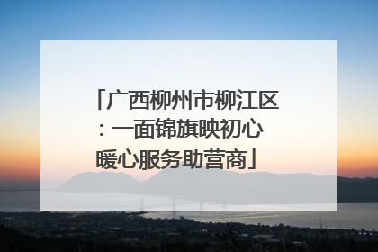 广西柳州市柳江区：一面锦旗映初心 暖心服务助营商