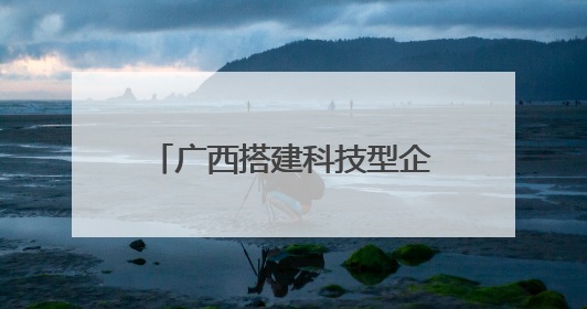 广西搭建科技型企业与金融对接平台 共育新质生产力