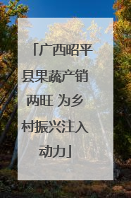 广西昭平县果蔬产销两旺 为乡村振兴注入动力