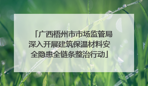 广西梧州市市场监管局深入开展建筑保温材料安全隐患全链条整治行动