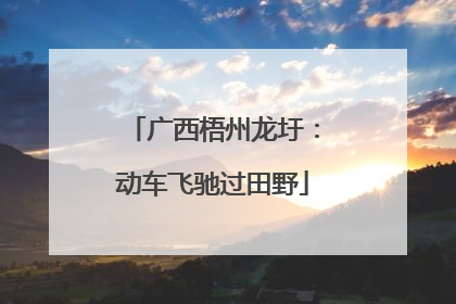 广西梧州龙圩：动车飞驰过田野