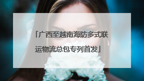 广西至越南海防多式联运物流总包专列首发