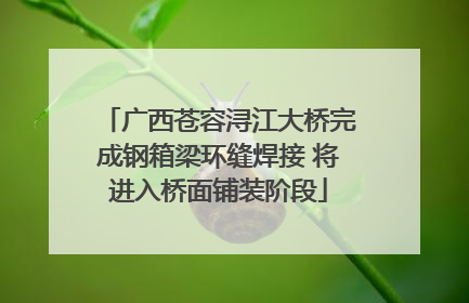 广西苍容浔江大桥完成钢箱梁环缝焊接 将进入桥面铺装阶段