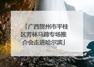 广西贺州市平桂区芳林马蹄专场推介会走进哈尔滨