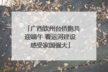 广西钦州台侨胞共迎端午 看运河建设感受家国强大