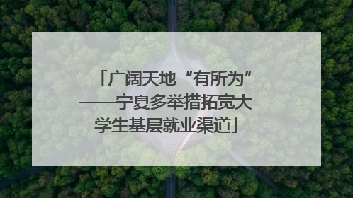 广阔天地“有所为”——宁夏多举措拓宽大学生基层就业渠道