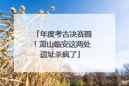 年度考古决赛圈！萧山临安这两处遗址杀疯了