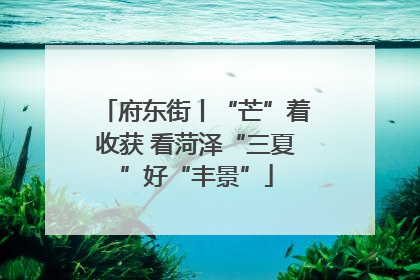 府东街丨“芒”着收获 看菏泽“三夏”好“丰景”