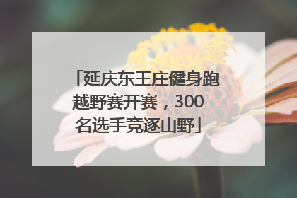 延庆东王庄健身跑越野赛开赛，300名选手竞逐山野