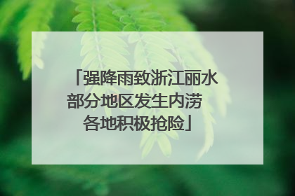 强降雨致浙江丽水部分地区发生内涝 各地积极抢险