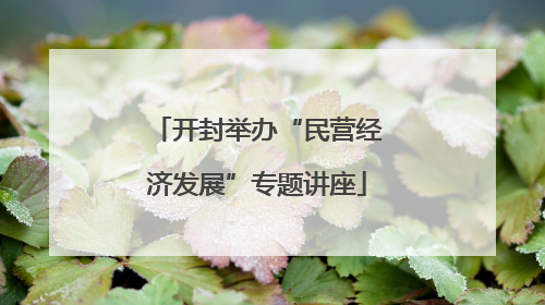 开封举办“民营经济发展”专题讲座