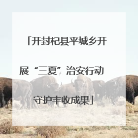 开封杞县平城乡开展“三夏”治安行动 守护丰收成果