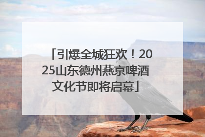 引爆全城狂欢！2025山东德州燕京啤酒文化节即将启幕