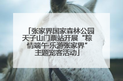 张家界国家森林公园天子山门票站开展“粽情端午·乐游张家界”主题宠客活动