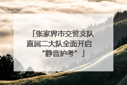 张家界市交警支队直属二大队全面开启“静音护考”