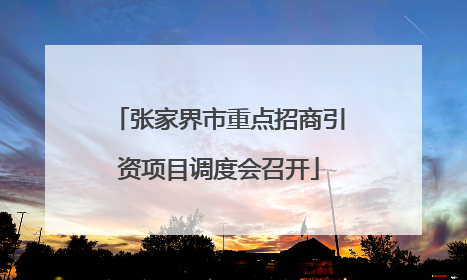 张家界市重点招商引资项目调度会召开