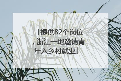提供82个岗位，浙江一地邀请青年入乡村就业