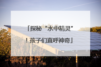 探秘“水中精灵”！孩子们直呼神奇